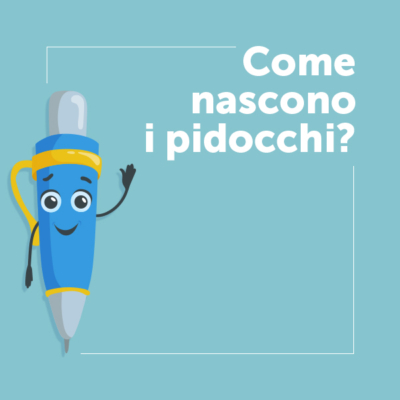 Come nascono i pidocchi?