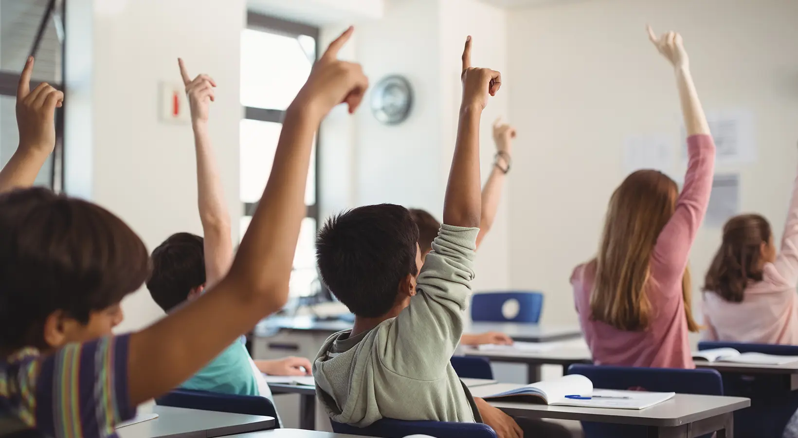 Pidocchi in classe: cosa fare prima del ritorno sui banchi?