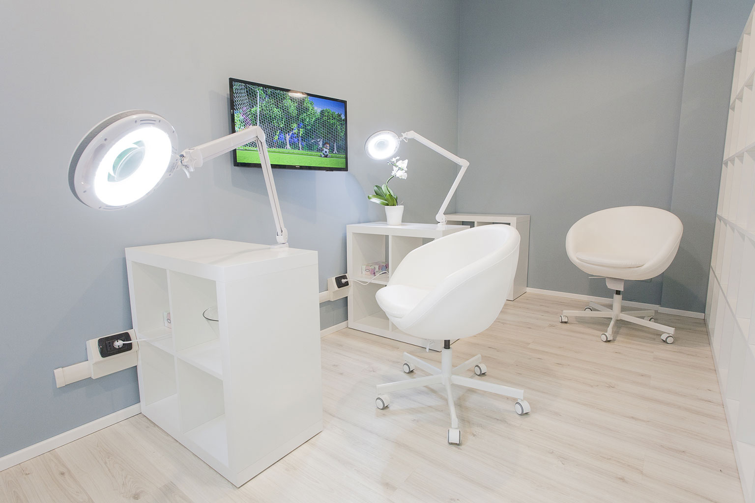 Centro pidocchi Ivrea